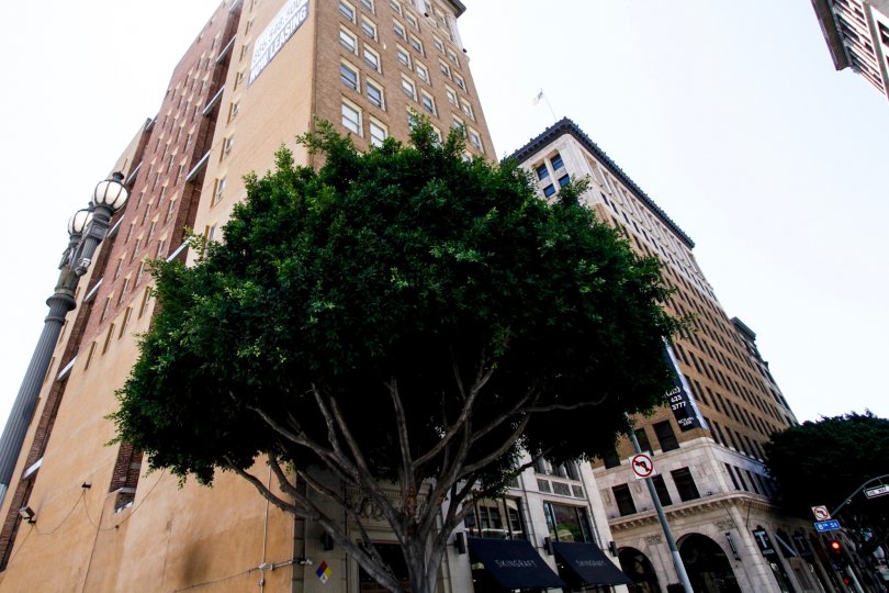 Great Republic Lofts Downtown Los Angeles CA